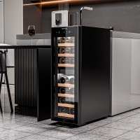 Винный шкаф Meyvel MV19-KBF2 компрессорный двухзонный